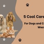 5 Cool Care Strategies for Dogs and Cats During Hot Weather