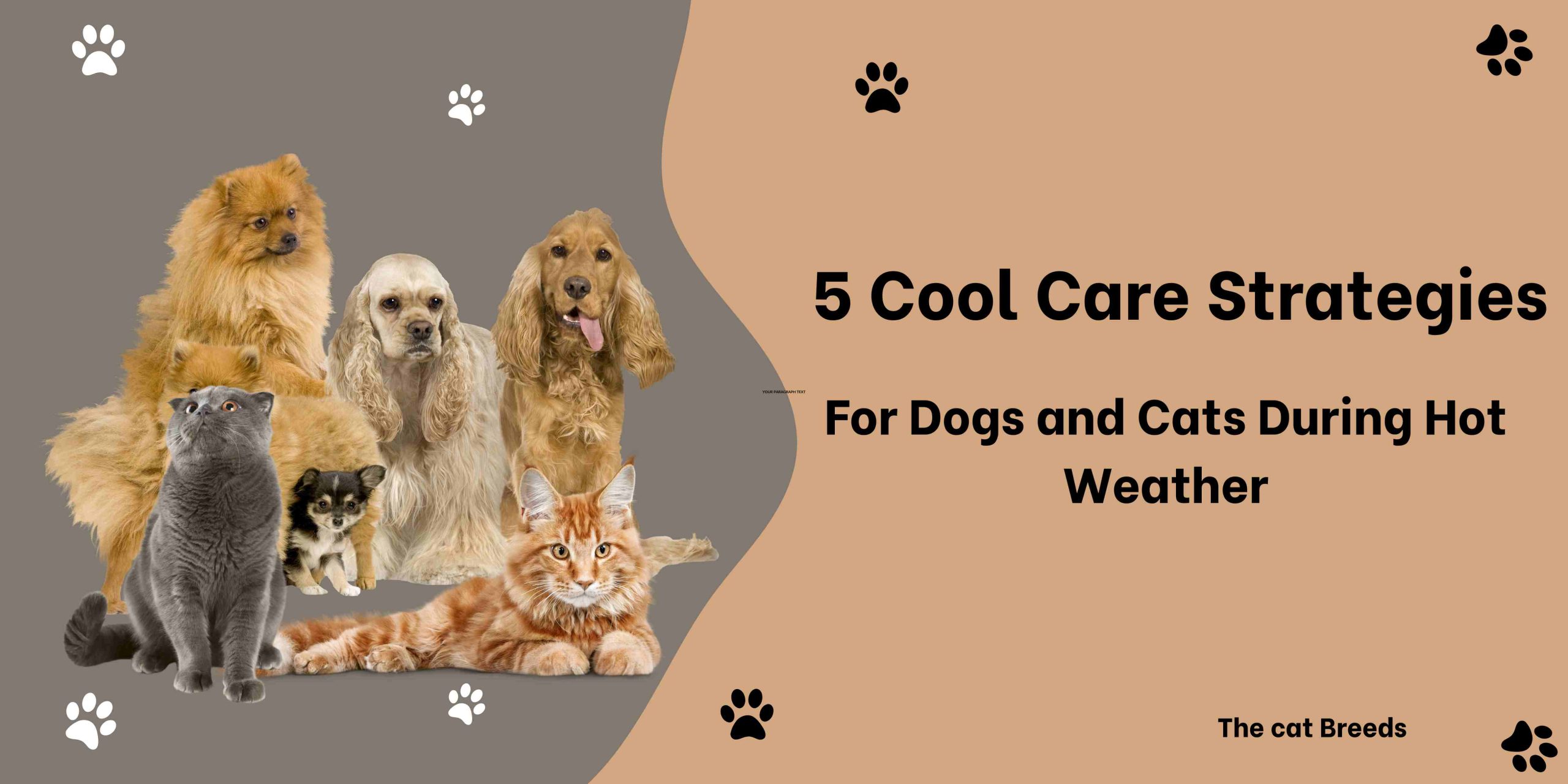 5 Cool Care Strategies for Dogs and Cats During Hot Weather