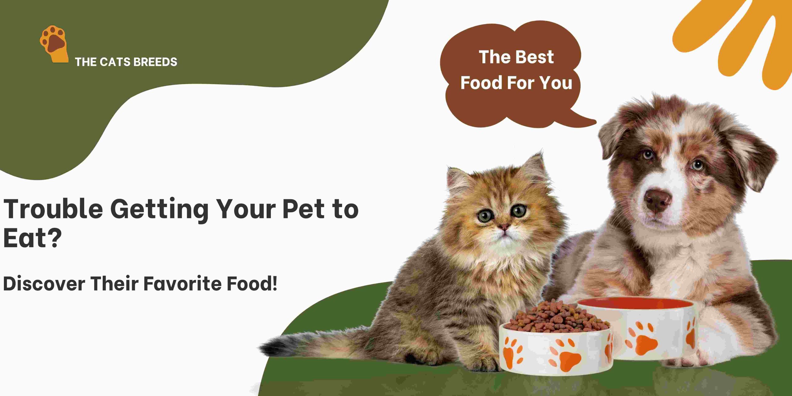 Trouble Getting Your Pet to Eat? Discover Their Favorite Food!