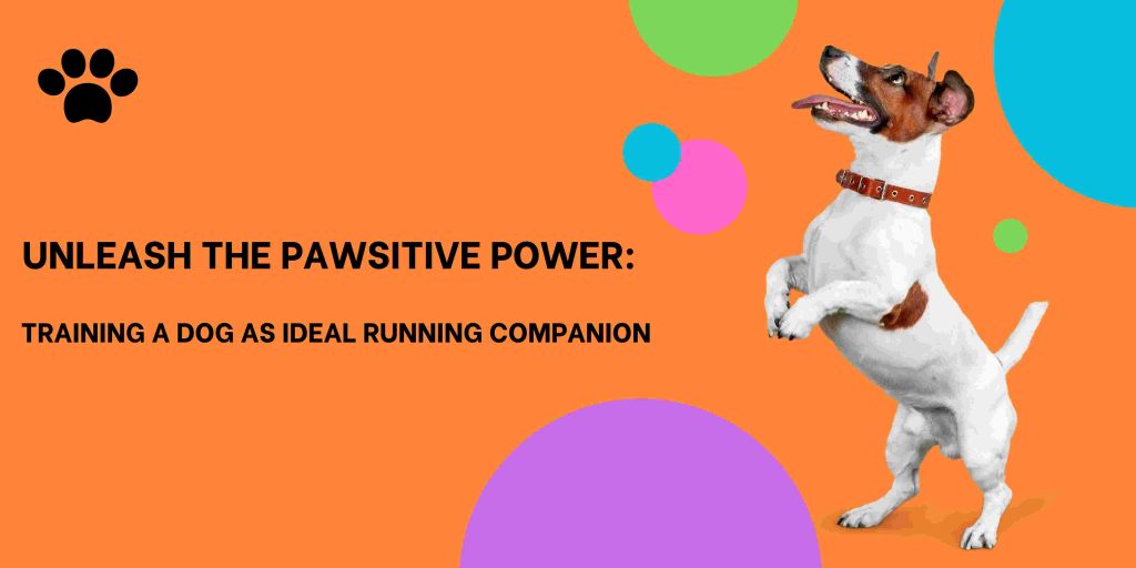 Unleash the Pawsitive Power: Training a Dog as Ideal Running Companion