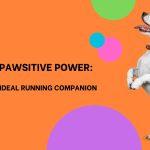 Unleash the Pawsitive Power: Training a Dog as Ideal Running Companion