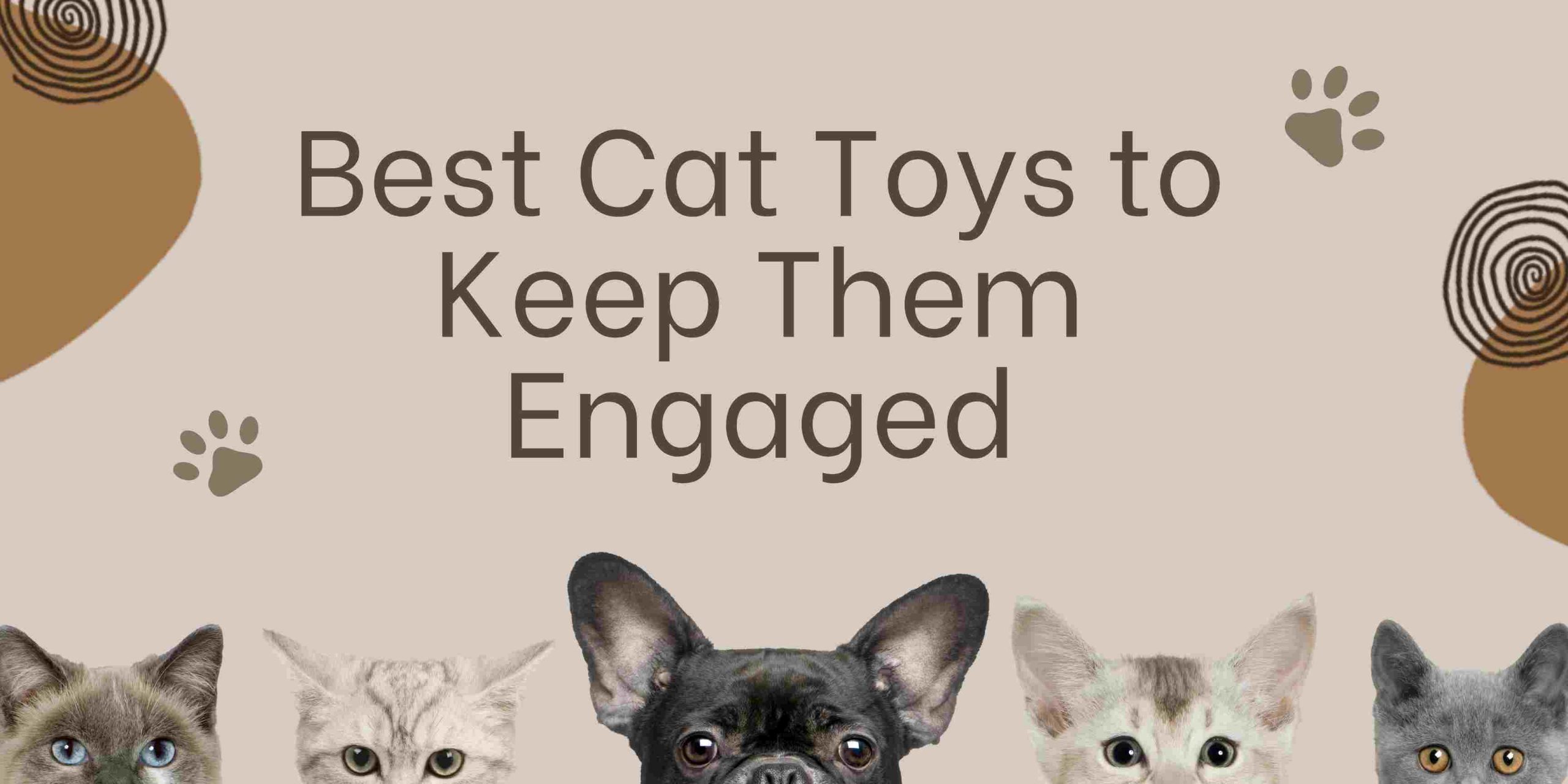 Best Cat Toys to Keep Them Engaged