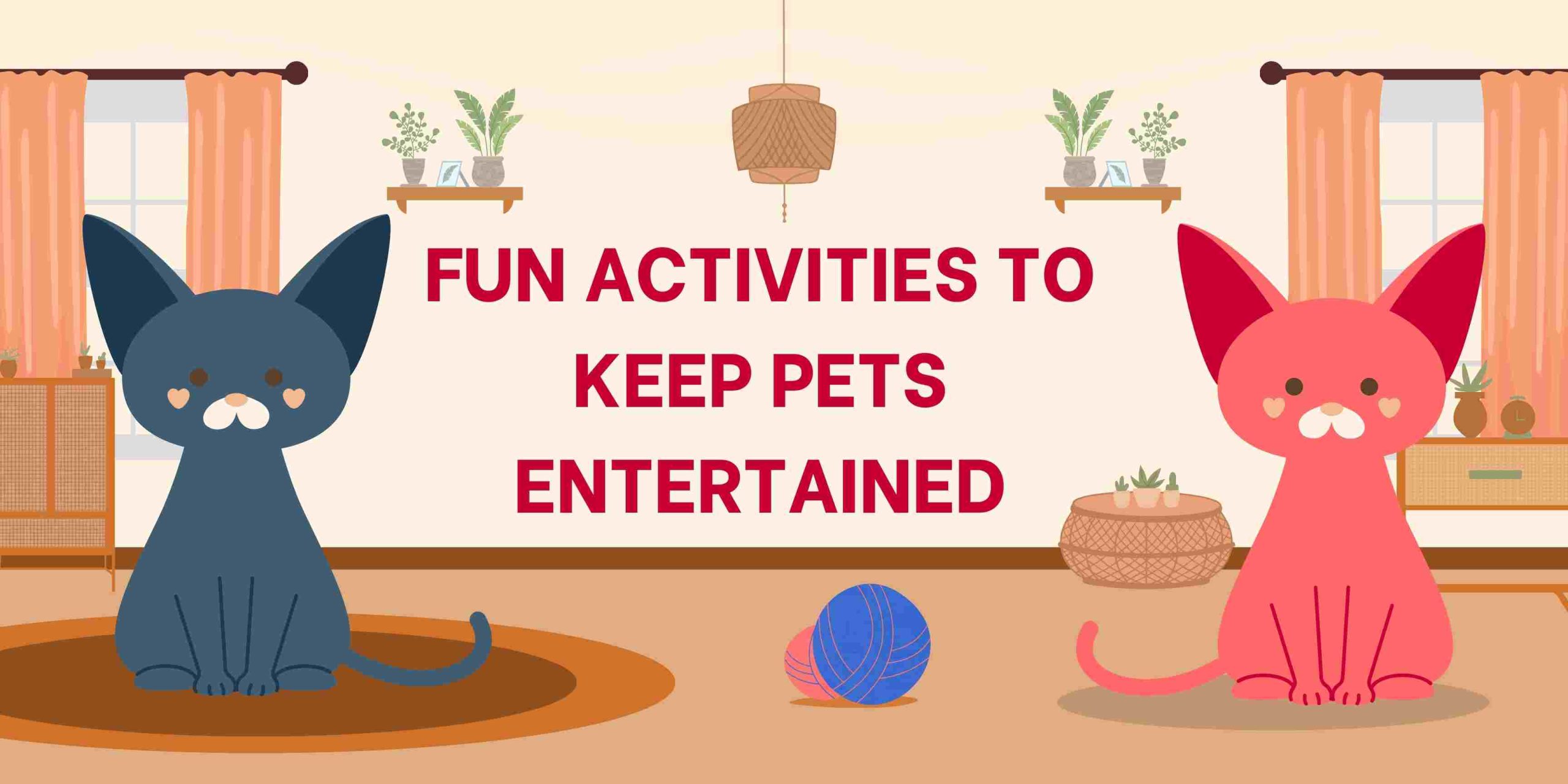 Fun Activities to Keep Pets Entertained