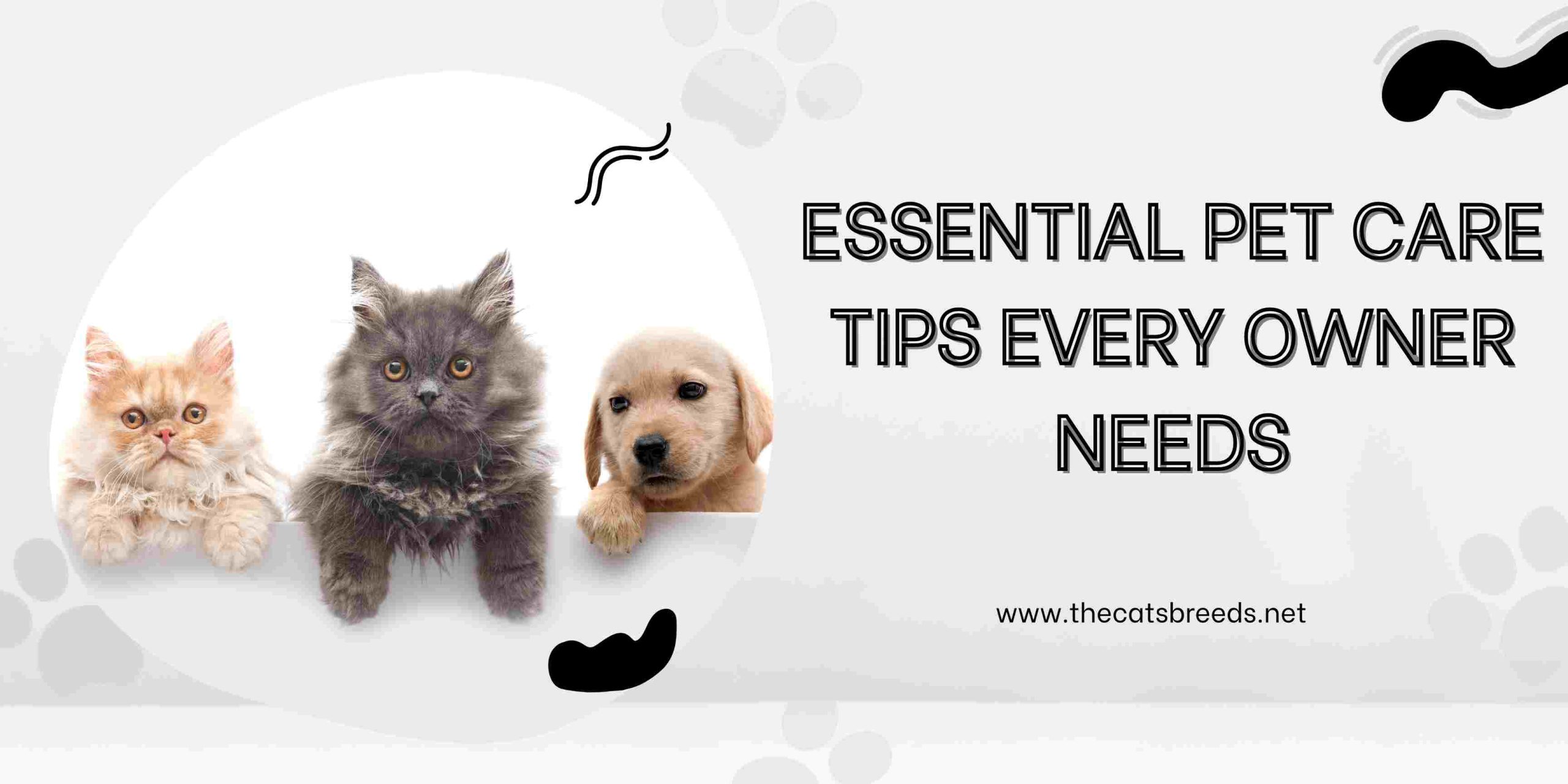 Essential Pet Care Tips Every Owner Needs